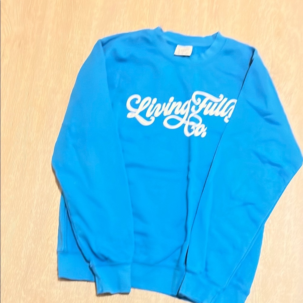 Living Fully Co by Mallory Ervin Blue sweatshirt